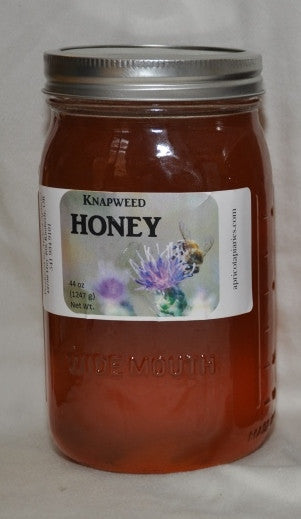 knapweed honey - quart